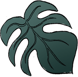 葉っぱのイラスト