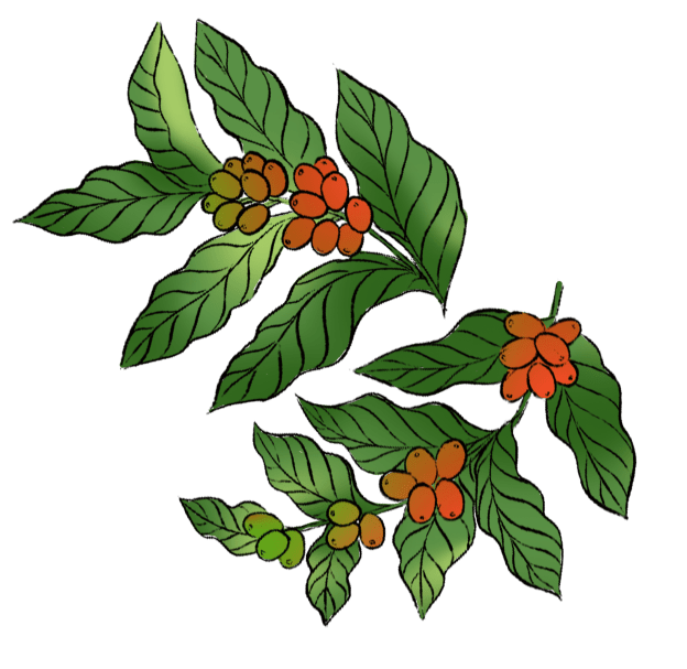 葉っぱのイラスト