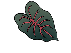 葉っぱのイラスト
