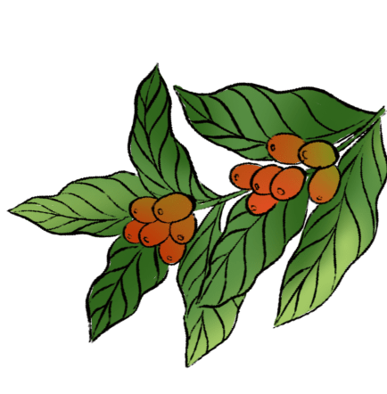 葉っぱのイラスト