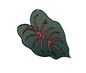 葉っぱのイラスト